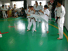 tya2k (126)_samu.gif
